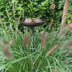Appartement Im Eichenbleek *
